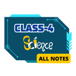 Class 4 Science Notes