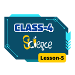 Class 4 Science Lesson 5