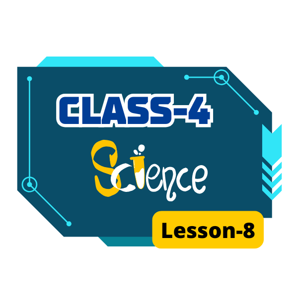 Class 4 Science Lesson 8